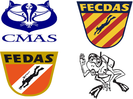 Manual Alumno Curso de Pecios